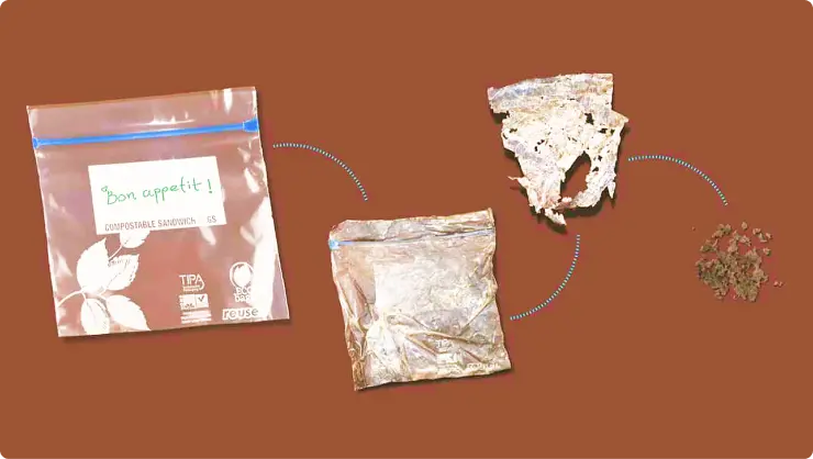 biodegradable plastic packaging